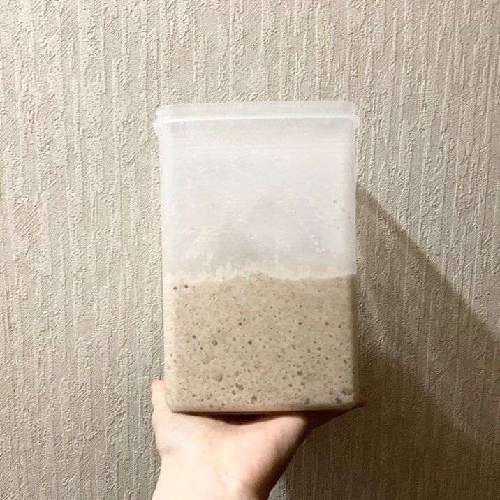 サワードウ サワー種 グラハム粉のサワードウ
